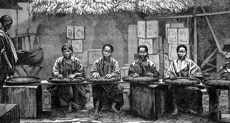 Tea sorters in china