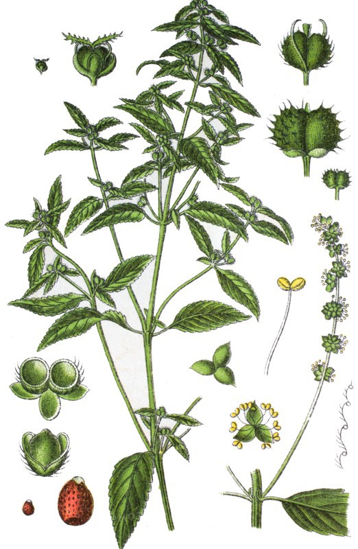 Annual mercury
