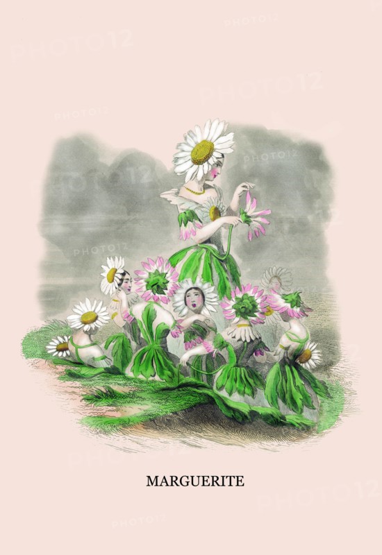 Marguerite 1847