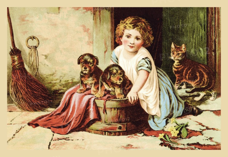 Which Do You Like? 1870