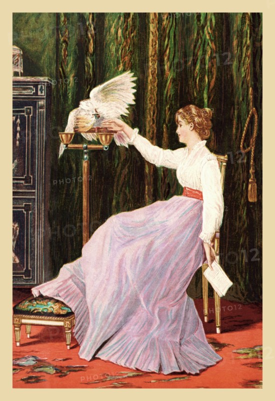 "What Shall I Tell Him, Polly?" 1870