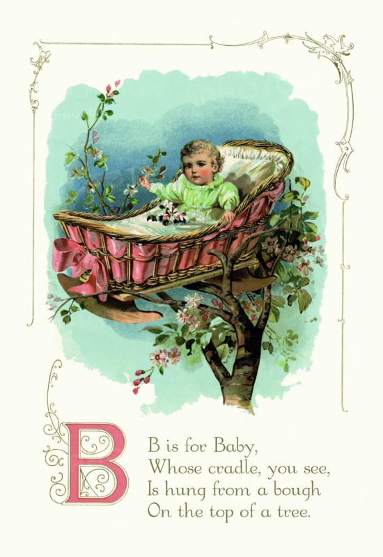 B is for Baby