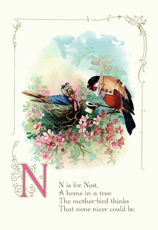 N is for Nest