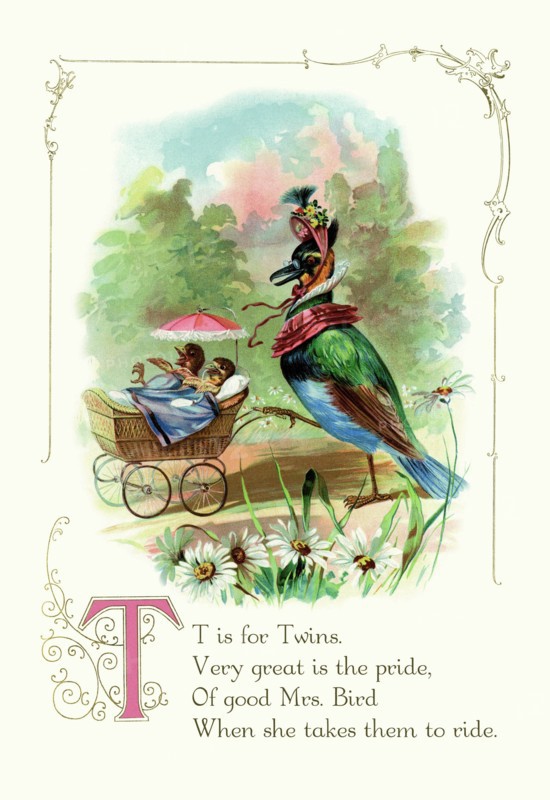 T is for Twins