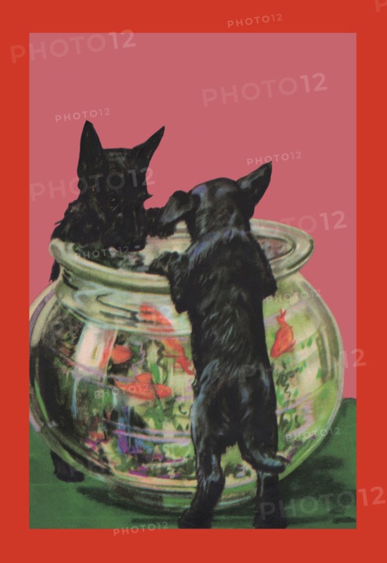 Mischief-Makers 1935