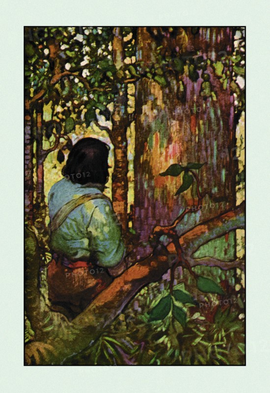 Robinson Crusoe: I Jumped Up and Went Out Through My Little Grove 1914
