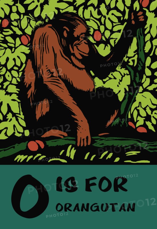 O is for Orangutang 1923