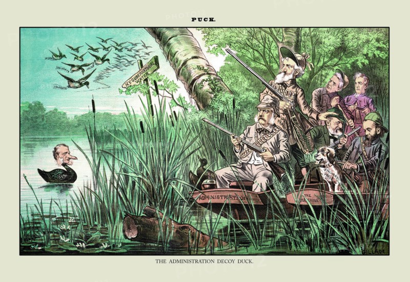 Puck Magazine: The Administration Decoy Duck