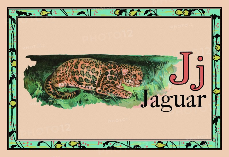 Jaguar 1926