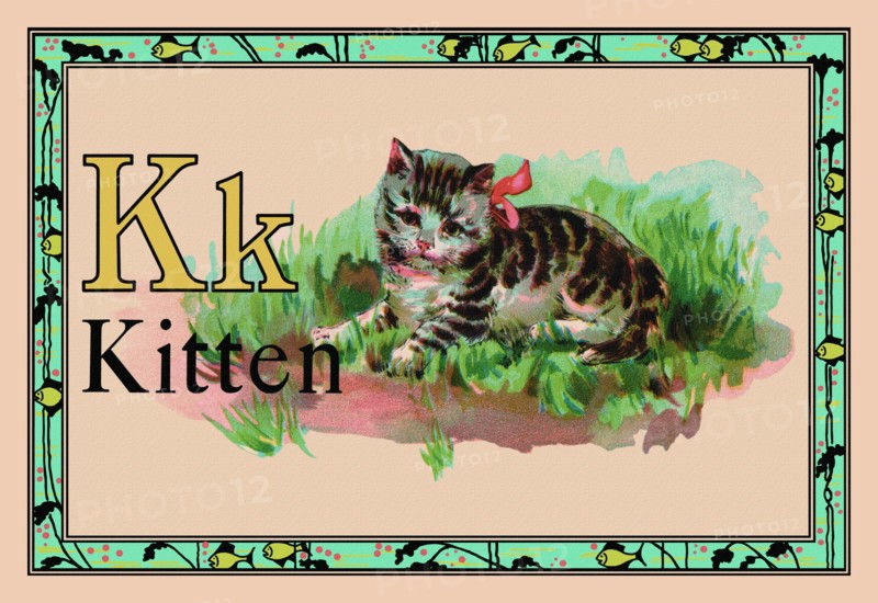 Kitten 1926