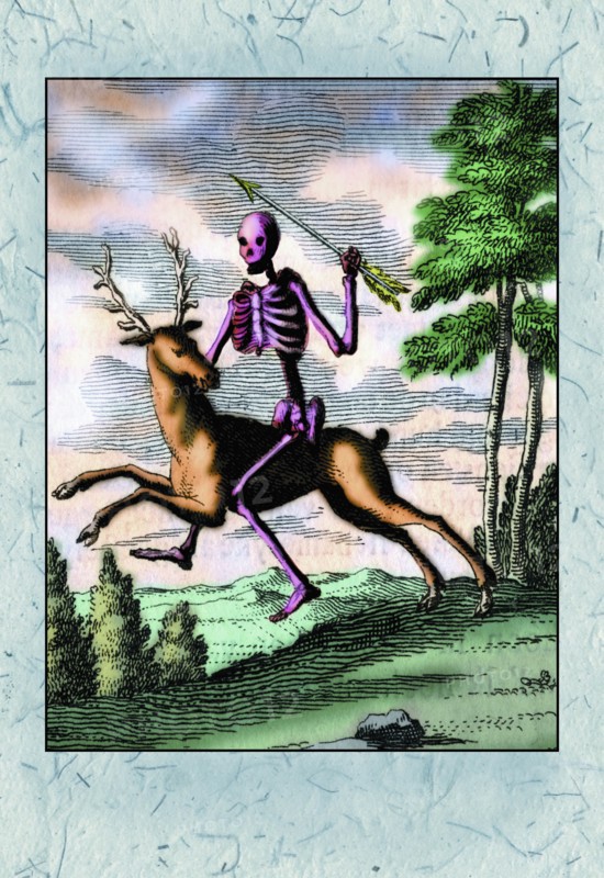 Skeleton on Buck 1764