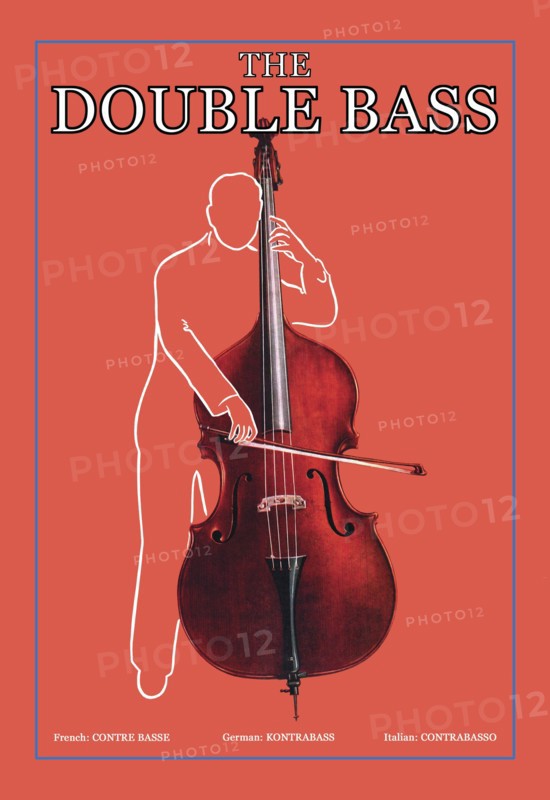Double Bass
