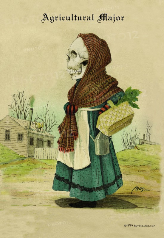Agricultural Major 1899