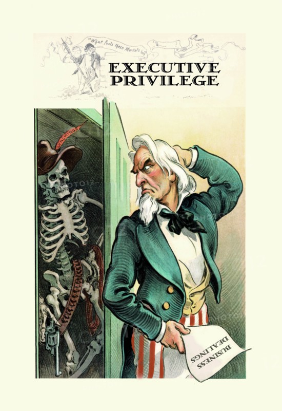 Executive Privilege 2005