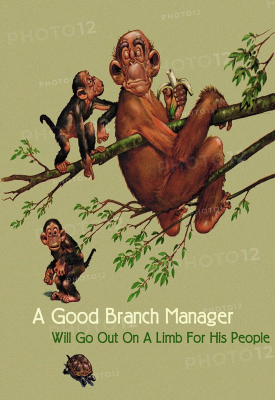 Branch Manager 2005