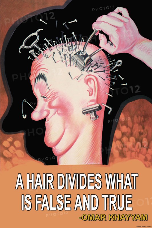 Hair Divides 2005