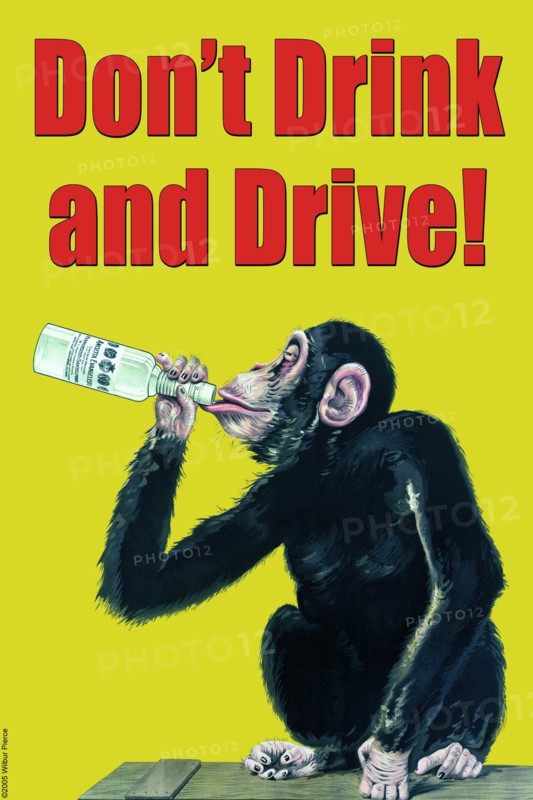 Don't Drink And Drive 2005