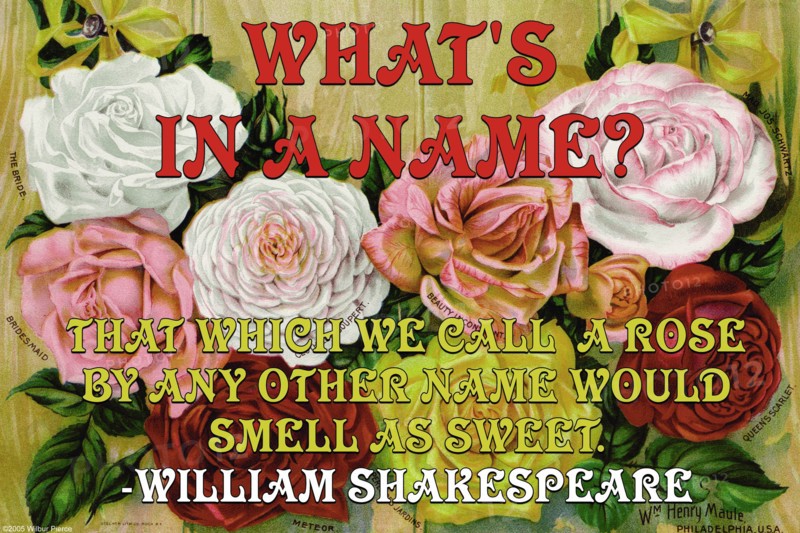 What's in a Name? 2005