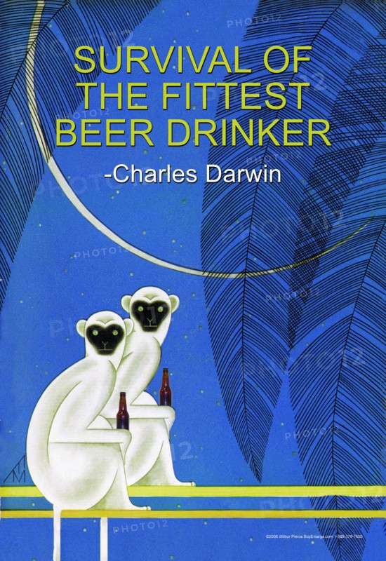 Survival of the Fittest Beer Drinker 2006
