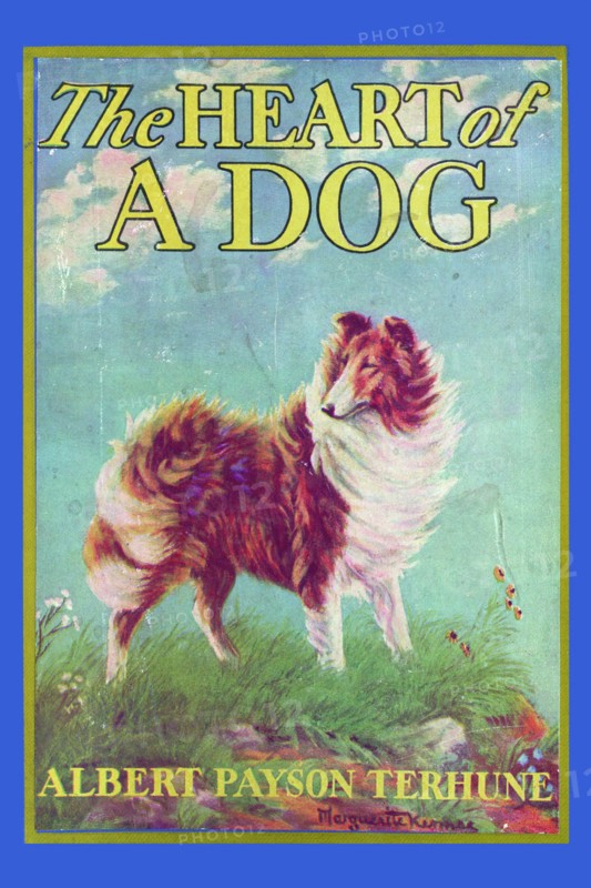 Heart of a Dog