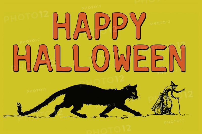 Happy Halloween 2006