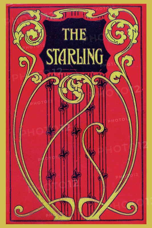 Starling