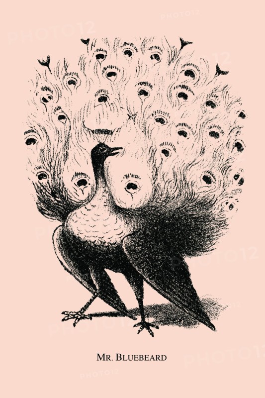 Mr. Bluebeard 1880