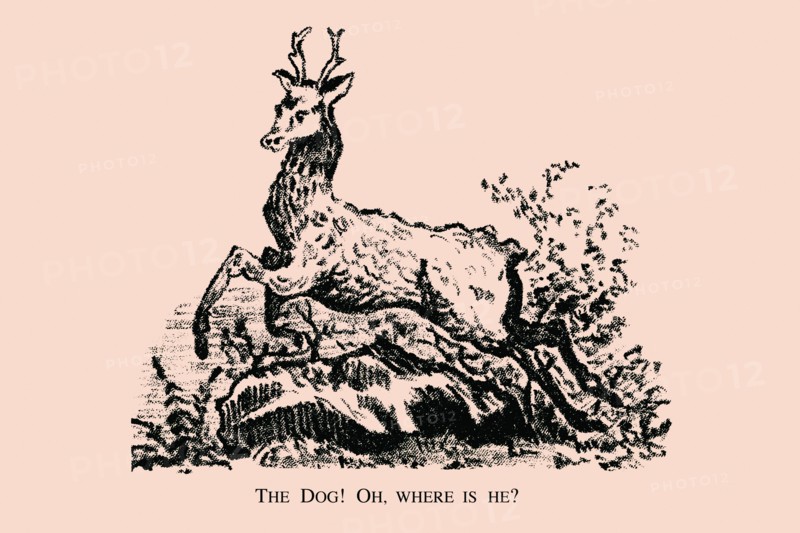 The Dog! Oh, Where is he? 1880
