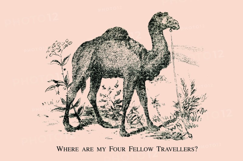 Where are my Four Fellow Travelers? 1880