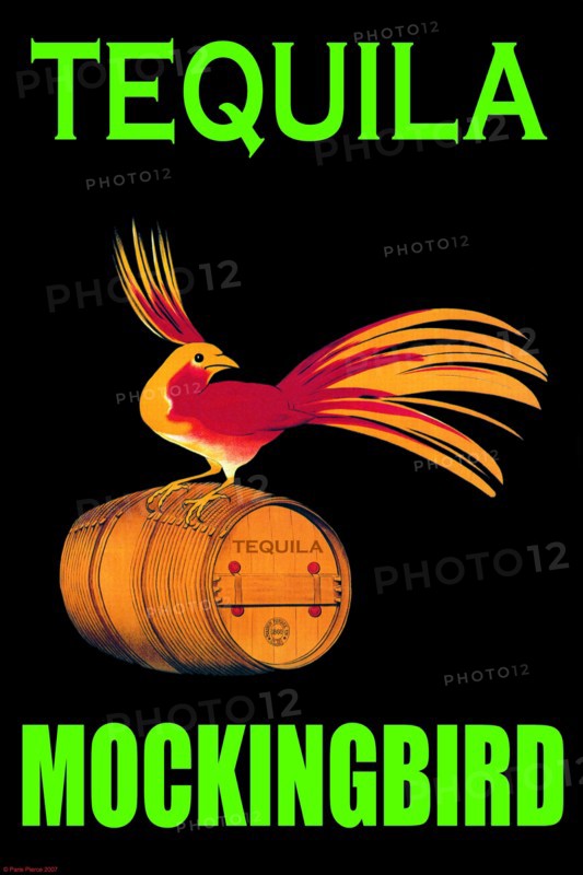 Tequila Mockingbird 2008