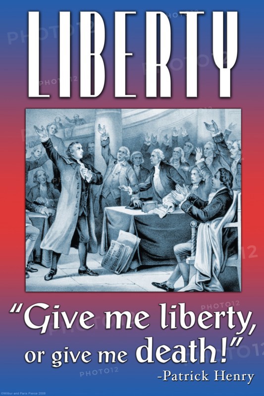 Liberty 2008