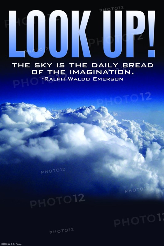 Look Up 2008