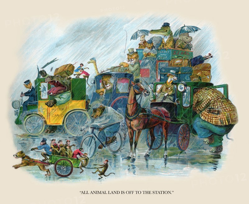 All Animal Land is off to the Station 1900