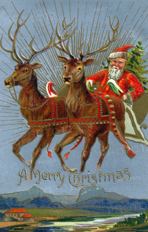 Merry Christmas