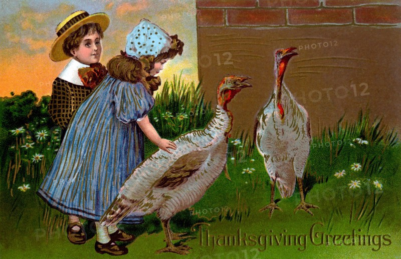 Thanksgiving Greetings