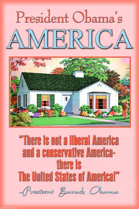 Obama's America 2009