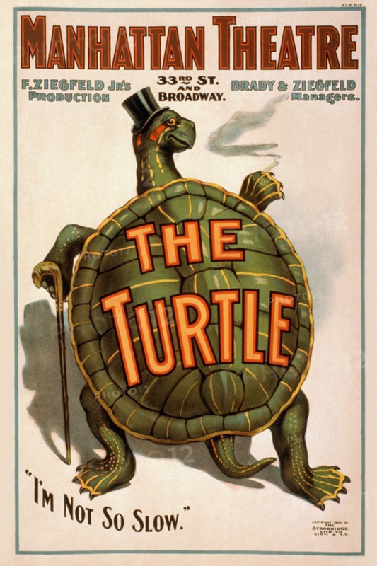 Manhattan Theatre Production "The Turtle" 1898