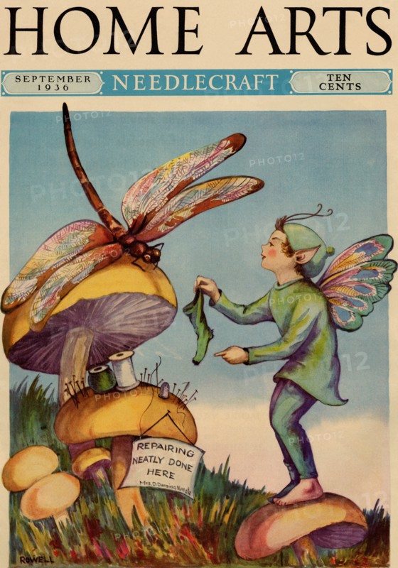 Sprite needs his socks darned by a dragonfly who is sitting on a mushroom 1936