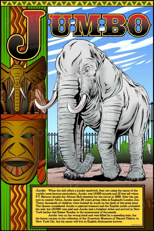 Jumbo 2009
