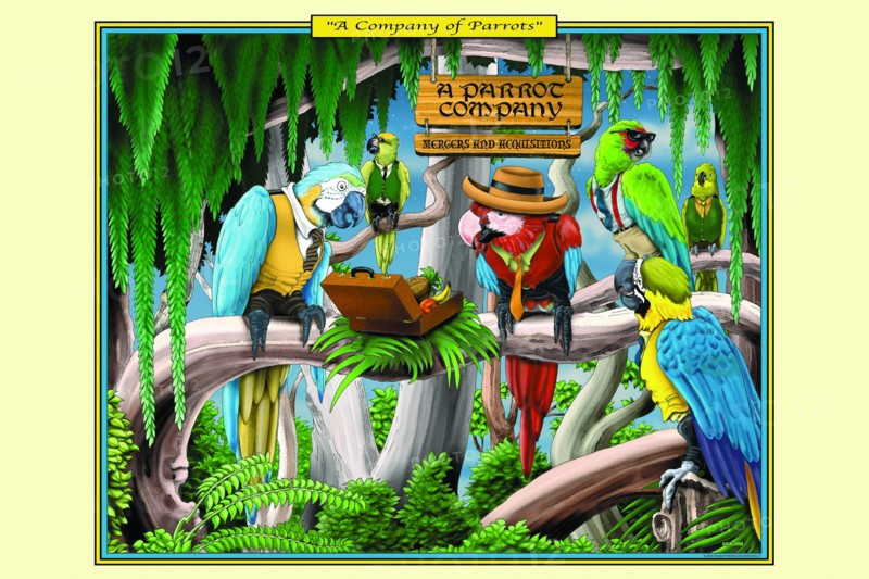 Company of Parrots 2006