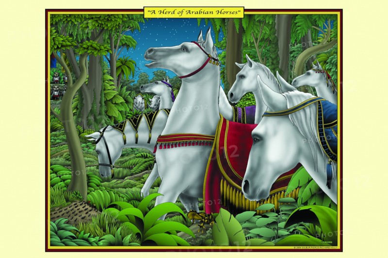 Herd of Arabian Horses 2006