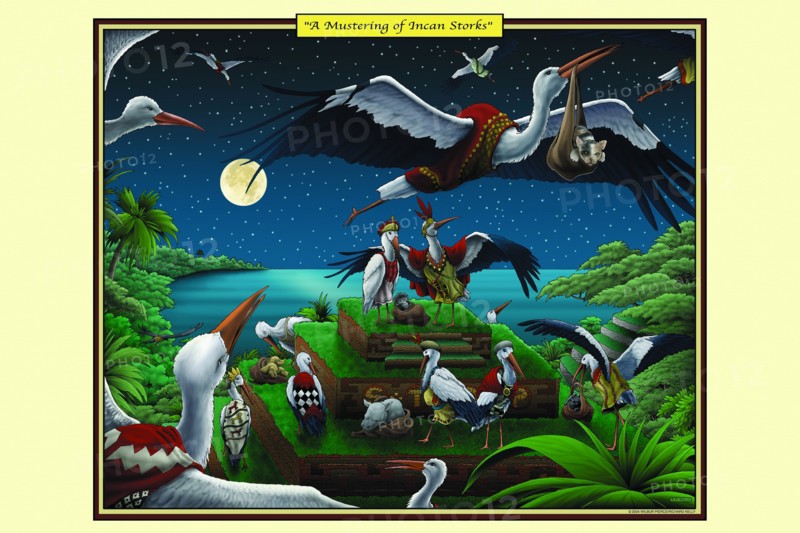 Mustering of Incan Storks 2006