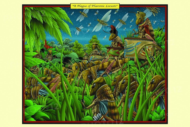 Plague of Pharonic Locusts 2006