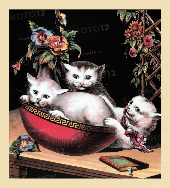 Merry Kitten 1877