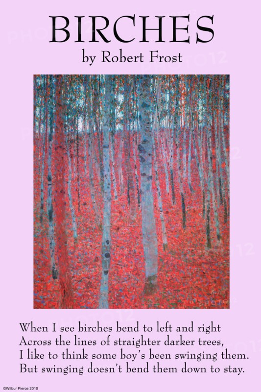Birches 1916