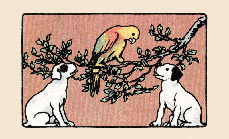 Snip and Snap and the Poll Parrot 1914