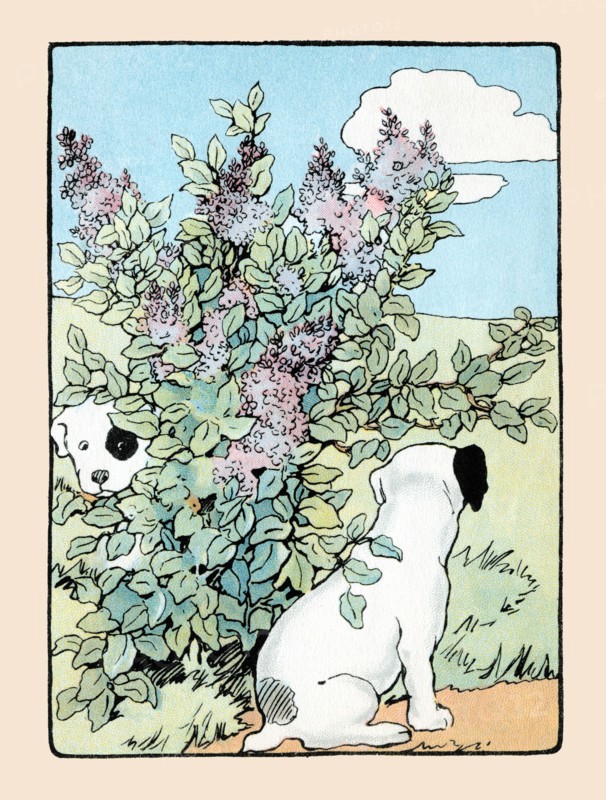 Snip and Snap Play in the Lilac Bushes 1914