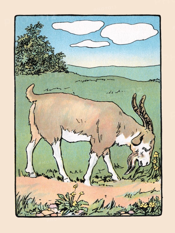 Brother Bill the Billy Goat 1914
