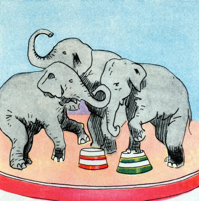 Three Elephants 1938