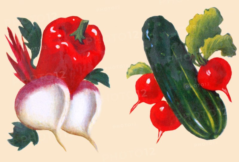 Vegetables 1935